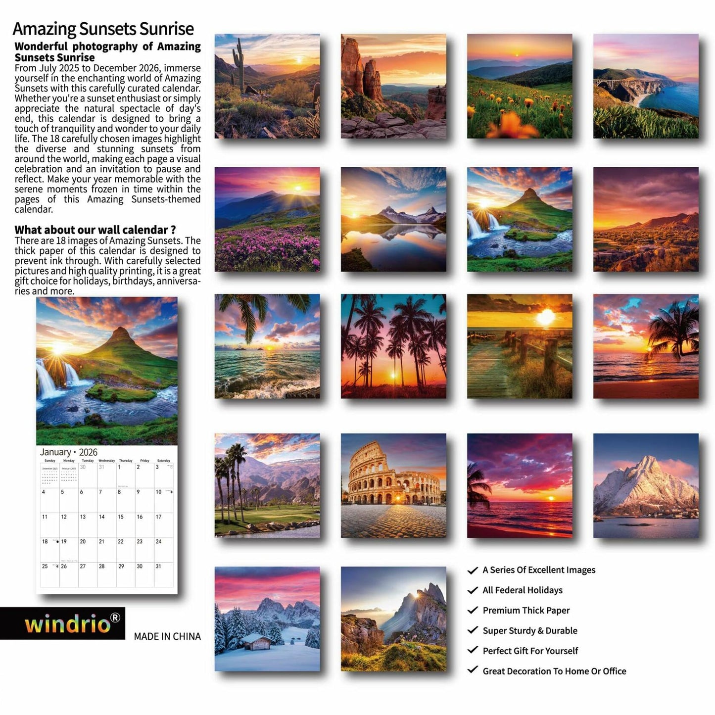 Gag Gift 2025 Wall Calendar Funny White Elephants Pooping Dogs 12x24