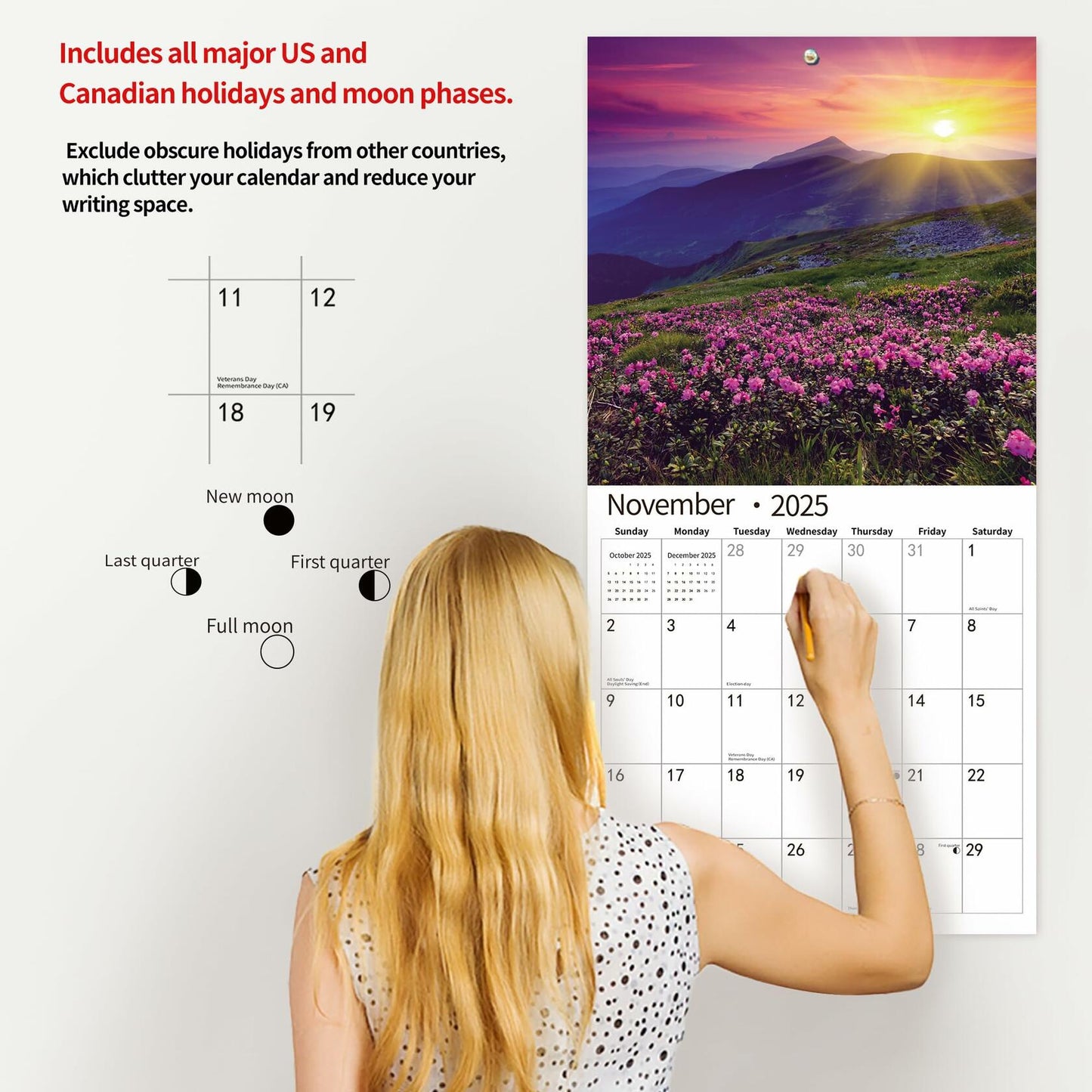 Gag Gift 2025 Wall Calendar Funny White Elephants Pooping Dogs 12x24