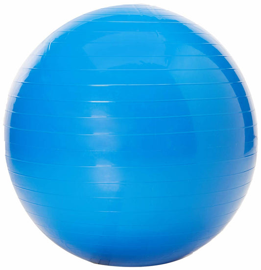 Thera-Band Exercise Ball Blue 75cm
