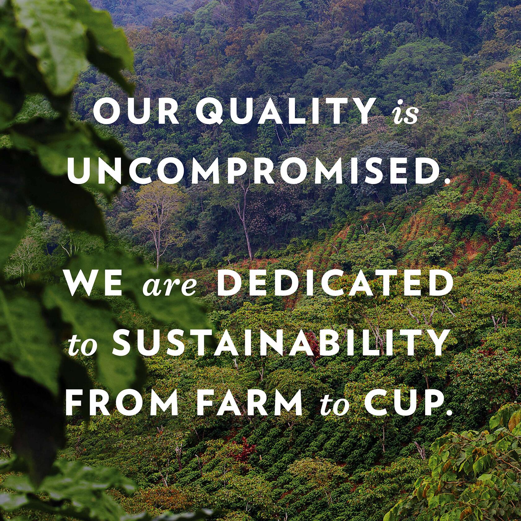 BestBy07/25 Community Coffee Vanilla Waffle Cone Iced Latte 13.7oz Bottle