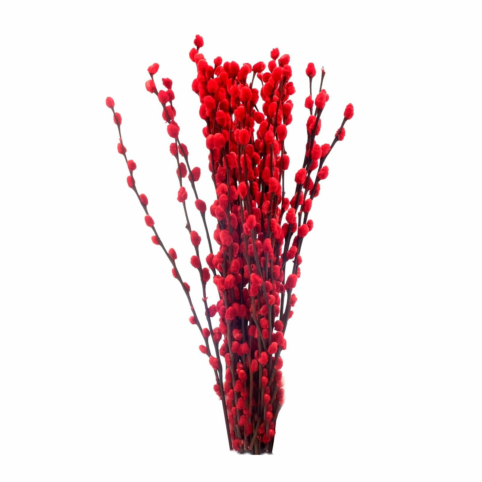 40pcs Red Pussy Willow Branches 17.5in Dried Flowers for Home Decor