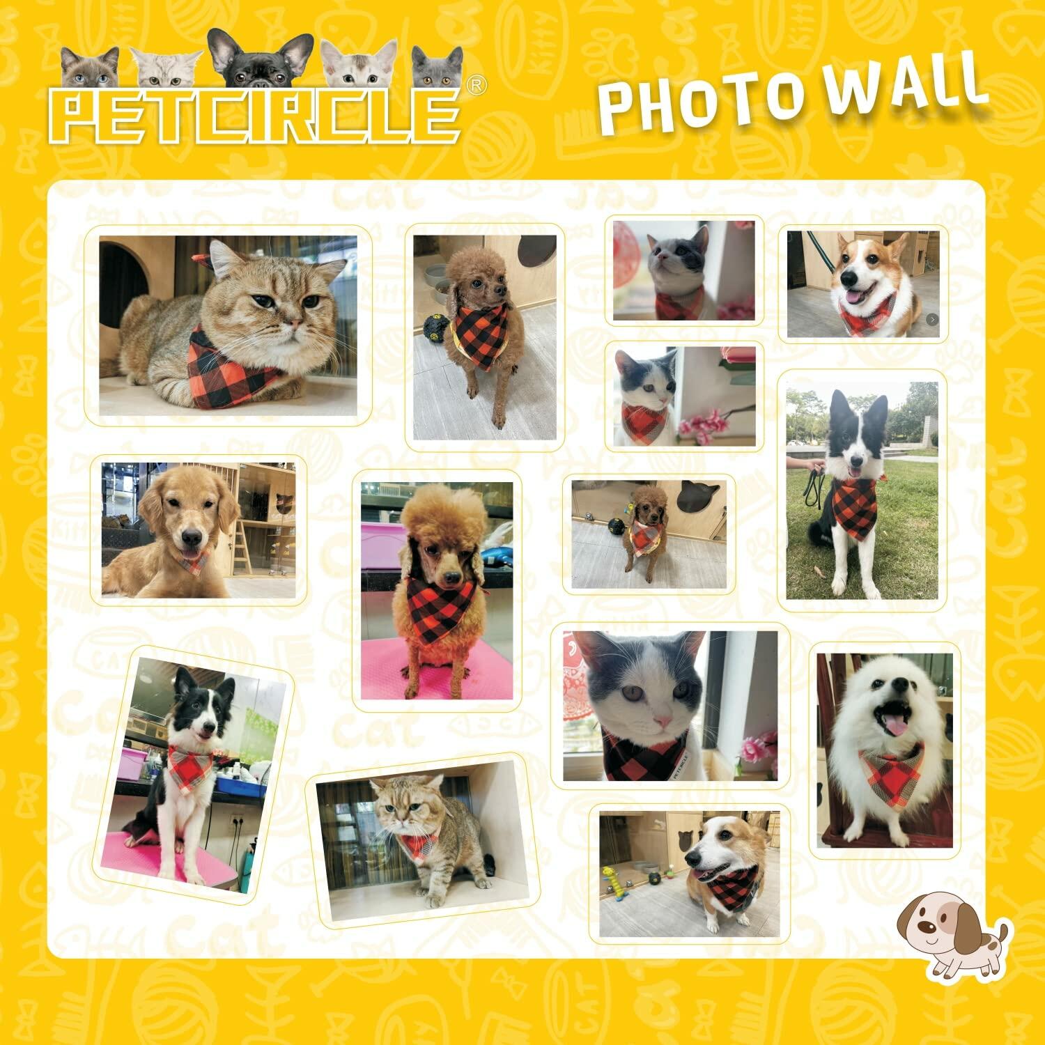 2 Pack Fall Dog Bandanas – Birthday Pet Scarf for Dogs & Cats, Orange L