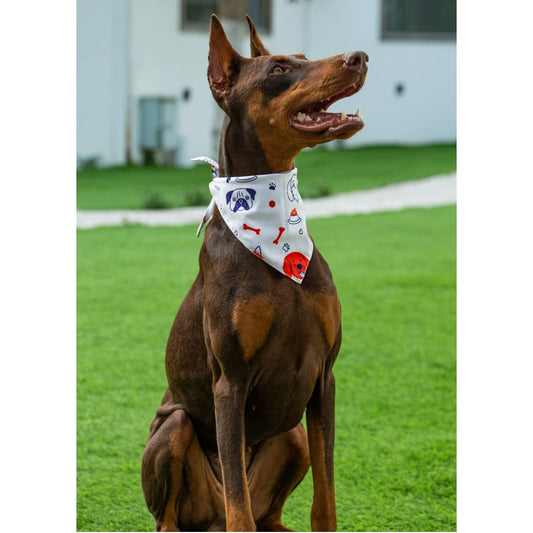 2 Pack Dog Bandanas – White Cute Birthday Pet Scarf for Dogs & Cats, XL
