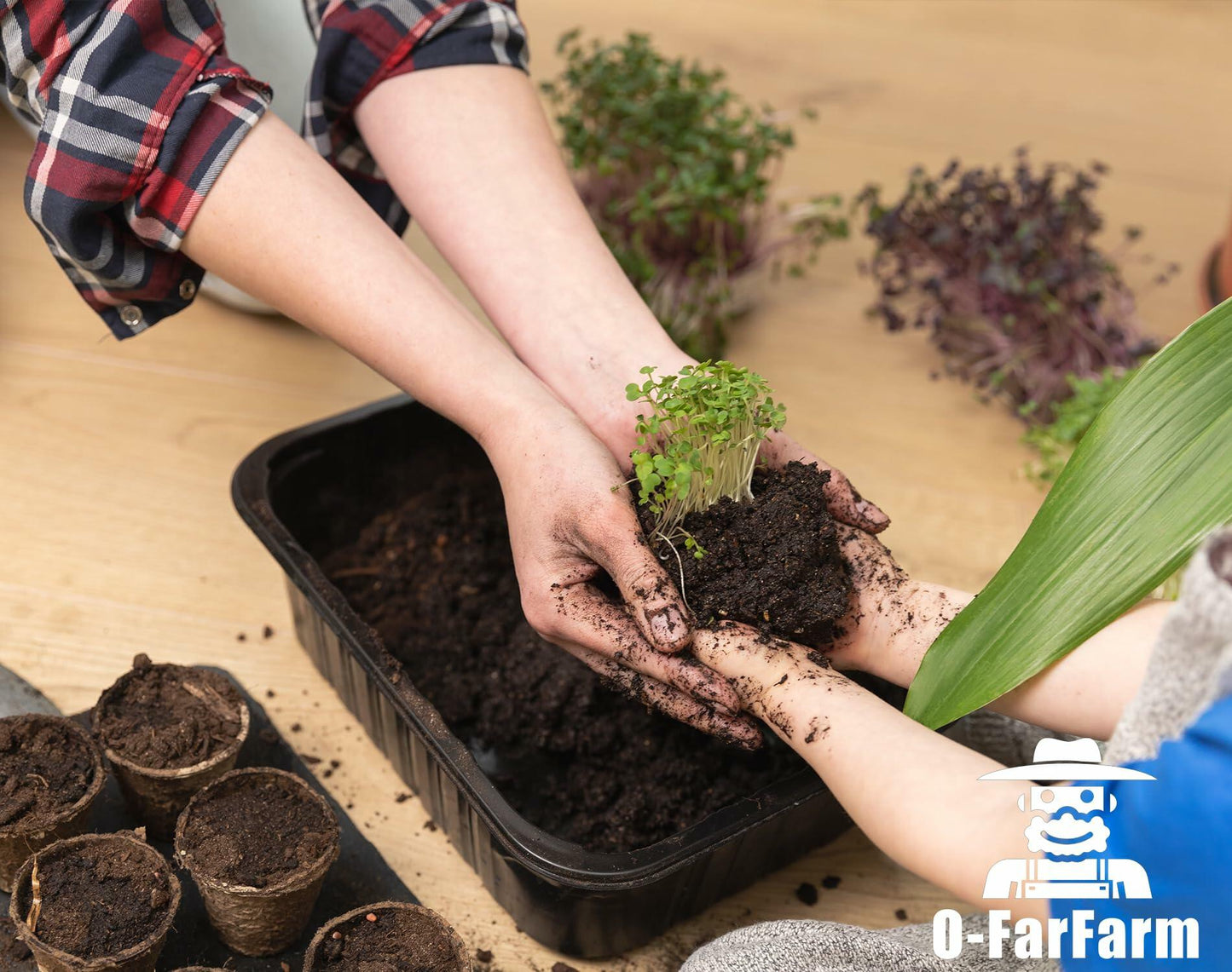 O-FarFarm Organic Potting Soil Mix 2qt Vegetable & Indoor Plants Soil