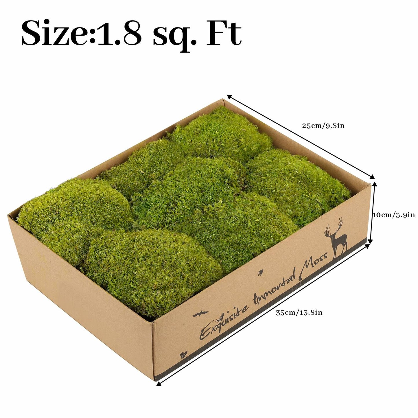 Preserved Reindeer Moss 1.8 sq Ft Natural Yellow-Green Moss for Decor