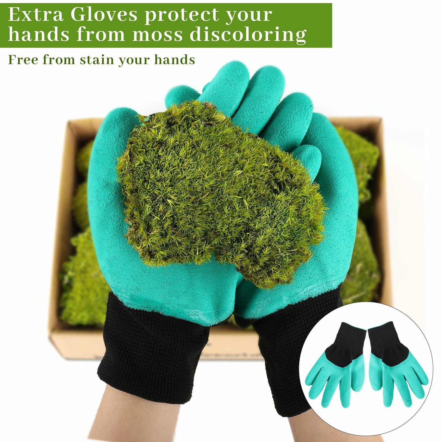 Preserved Reindeer Moss 1.8 sq Ft Natural Yellow-Green Moss for Decor