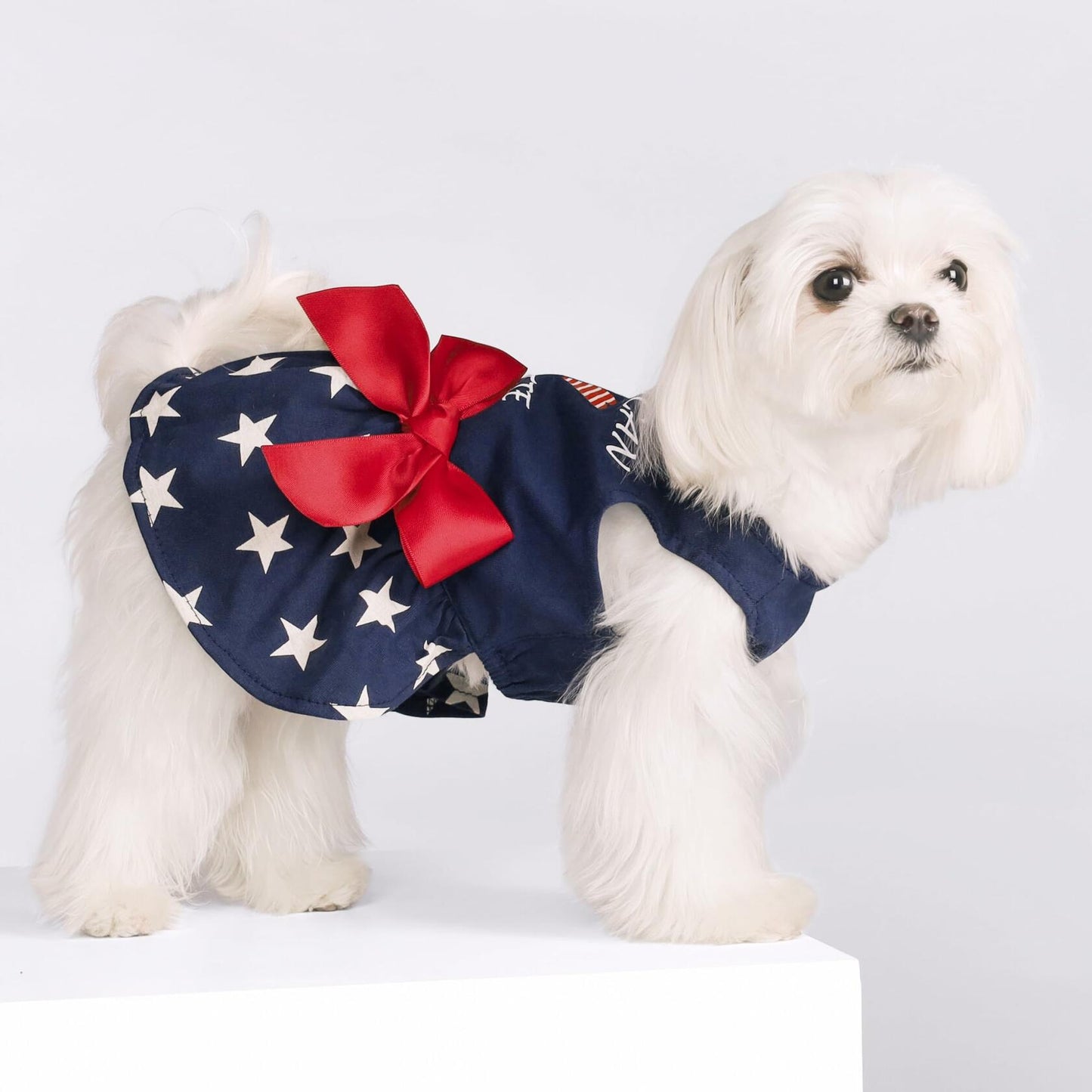 Fitwarm 100% Cotton Holiday Make A Wish Dog Dress Black XXS Size XXS