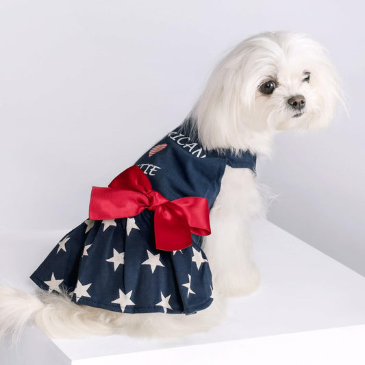 Fitwarm 100% Cotton Holiday Make A Wish Dog Dress Black XXS Size XXS