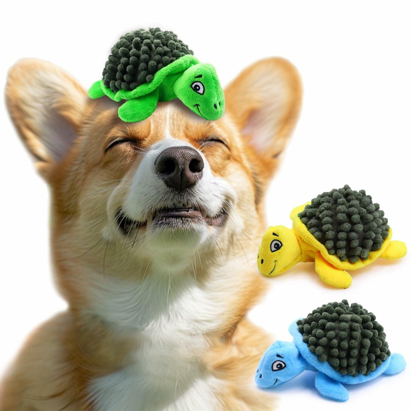 [Like New] Aqezd Turtle Small Dog Squeaky Toy 2-in-1 Plush BPA-Free Rubber Core