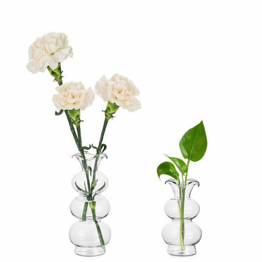 Hewory Glass Bubble Bud Vase Small Clear Glass Flower Vase for Single Stem