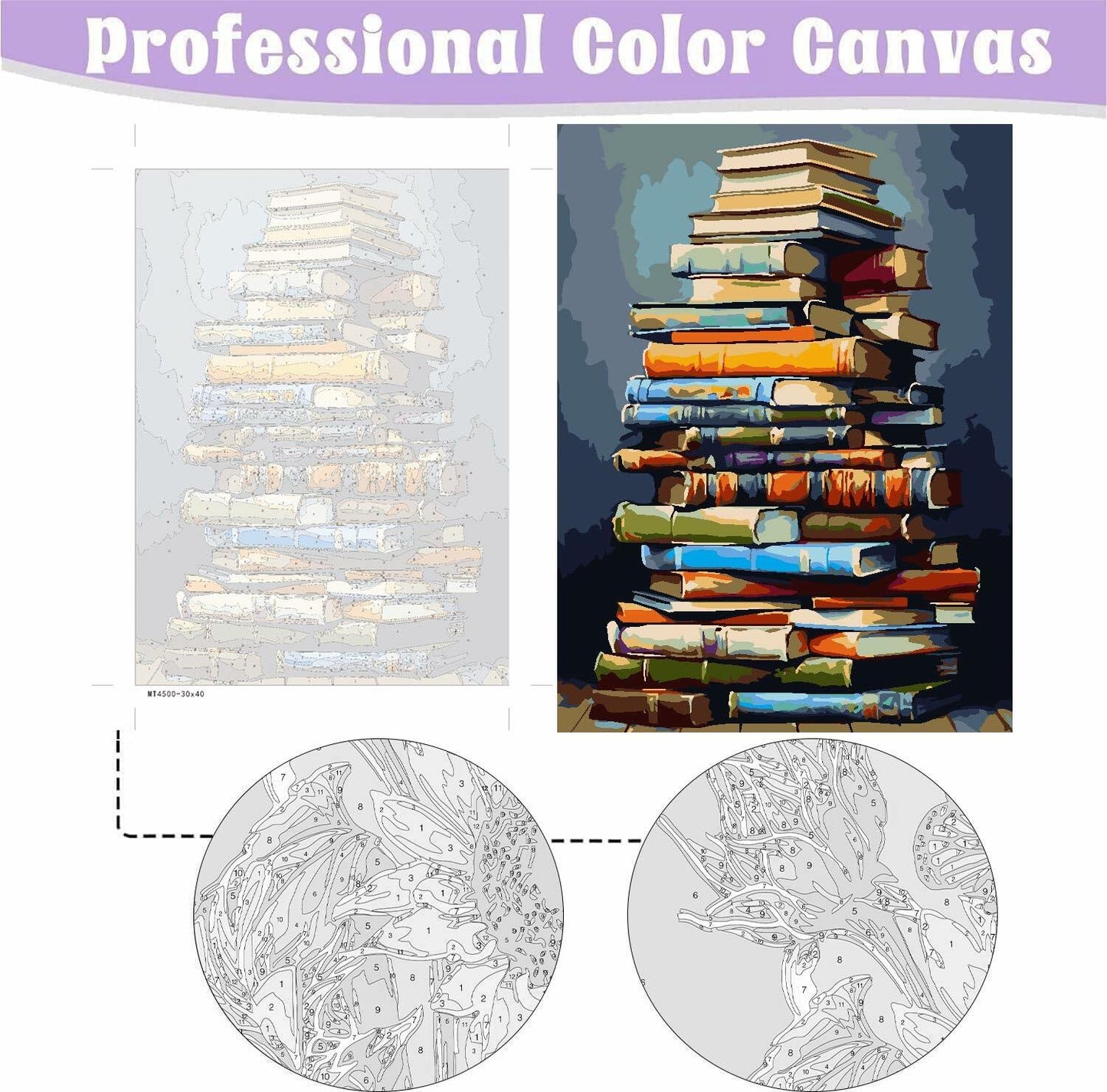 Eiazuiks Paint by Number Kit for Adults 12x16 Canvas with Frame & 2 Brushes