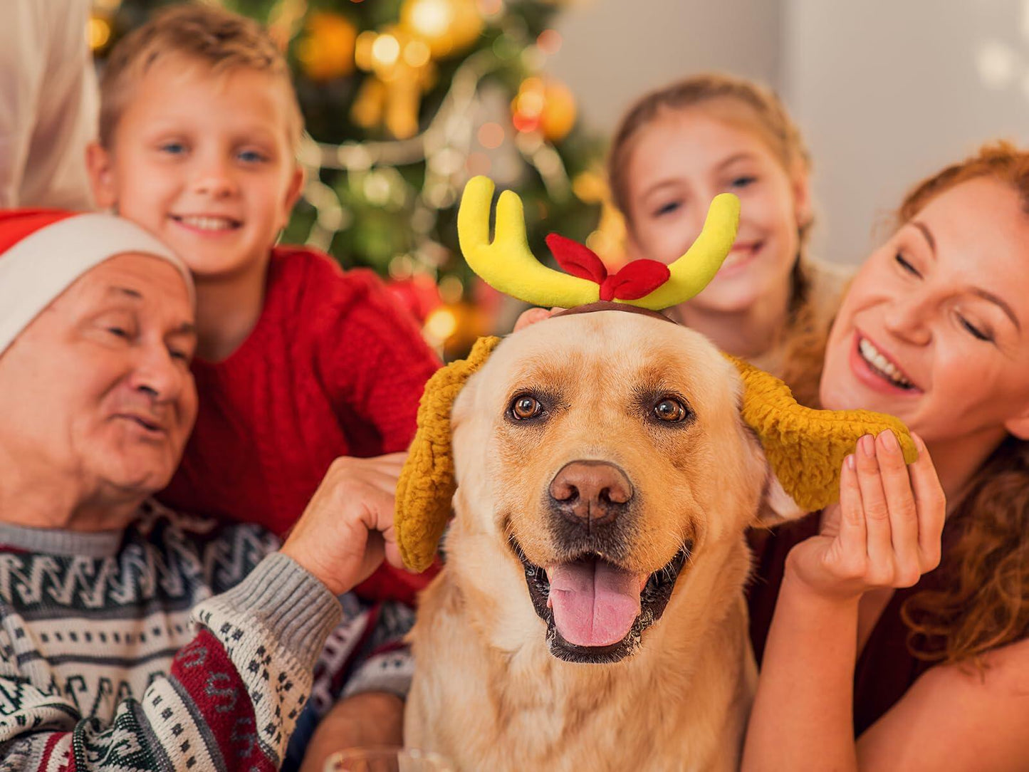 [Like New] PAJXNJC Deer Antler Headband Dog Ears Nose Bow Tie Tail Yellow Party Set