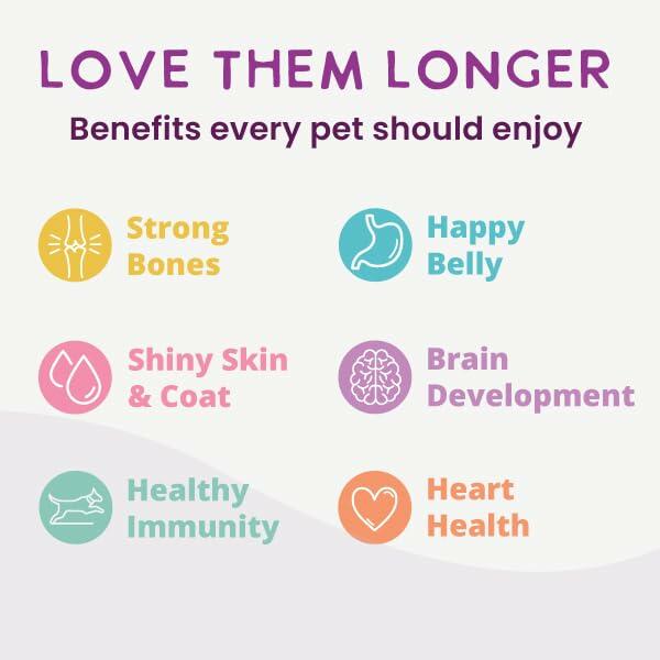 BestBy12/26 Health Extension Beef & Potato Dog Food 9oz Pouches Case of 5