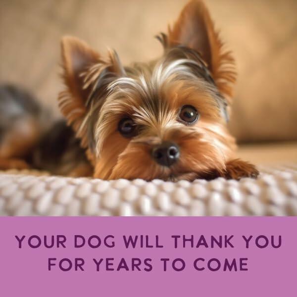 BestBy12/26 Health Extension Beef & Potato Dog Food 9oz Pouches Case of 5