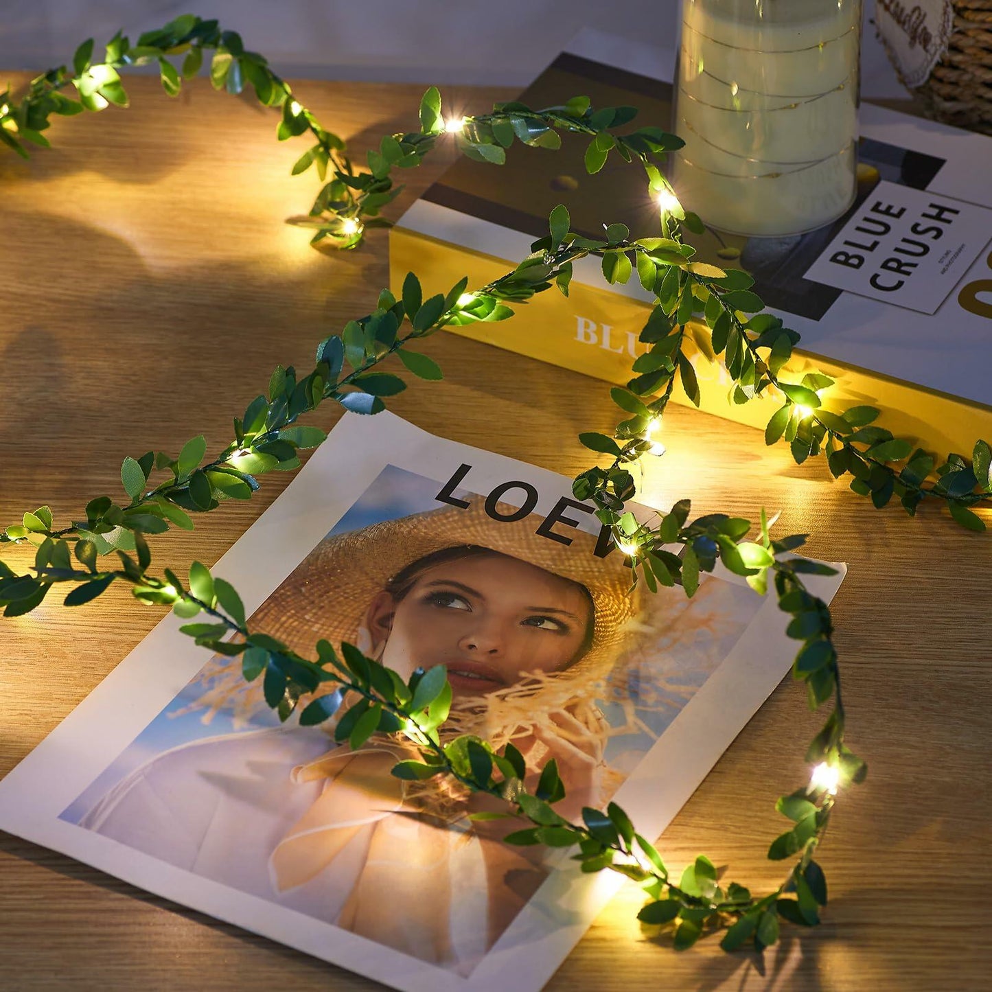 Ariceleo USB Fairy String Lights 50 LED 16.4ft 2 Pack Warm White Remote Timer