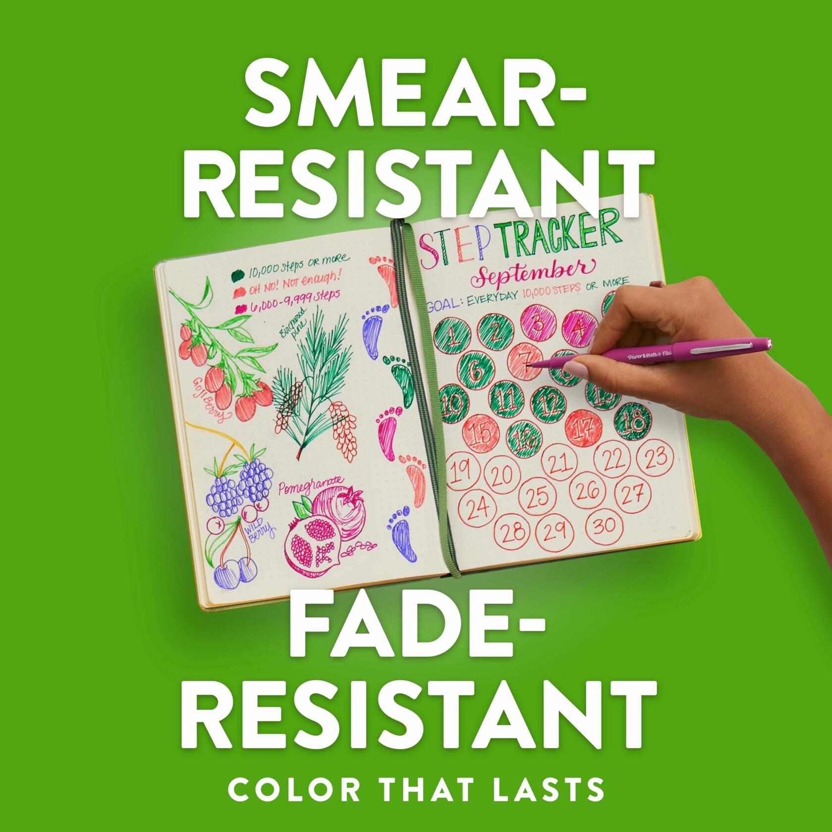 Paper Mate Flair Felt Tip Pens Medium 0.7mm Assorted Retro 12 Count