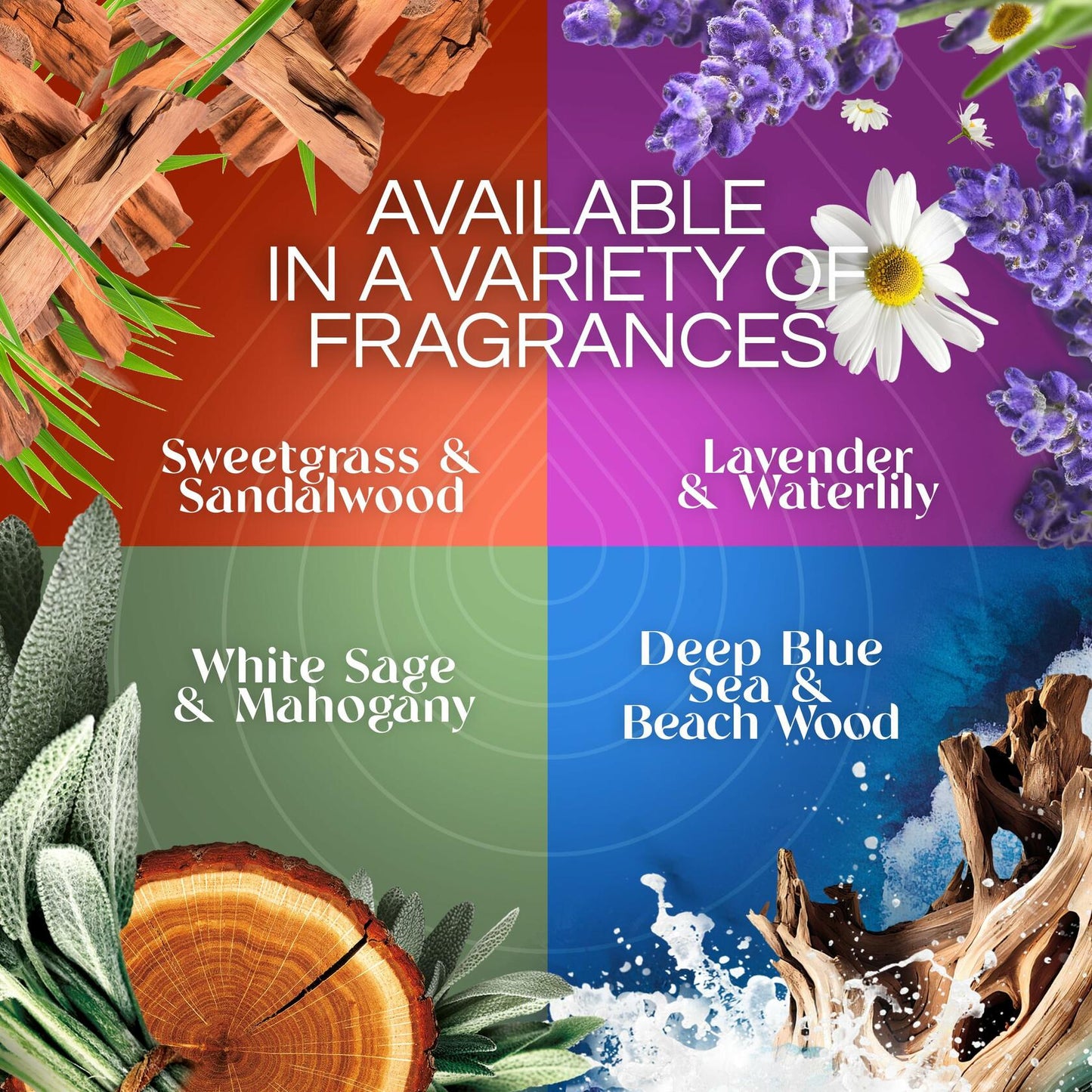 Air Wick Plug in Scented Oil Refill 5ct Lavender & Waterlily Air Freshener