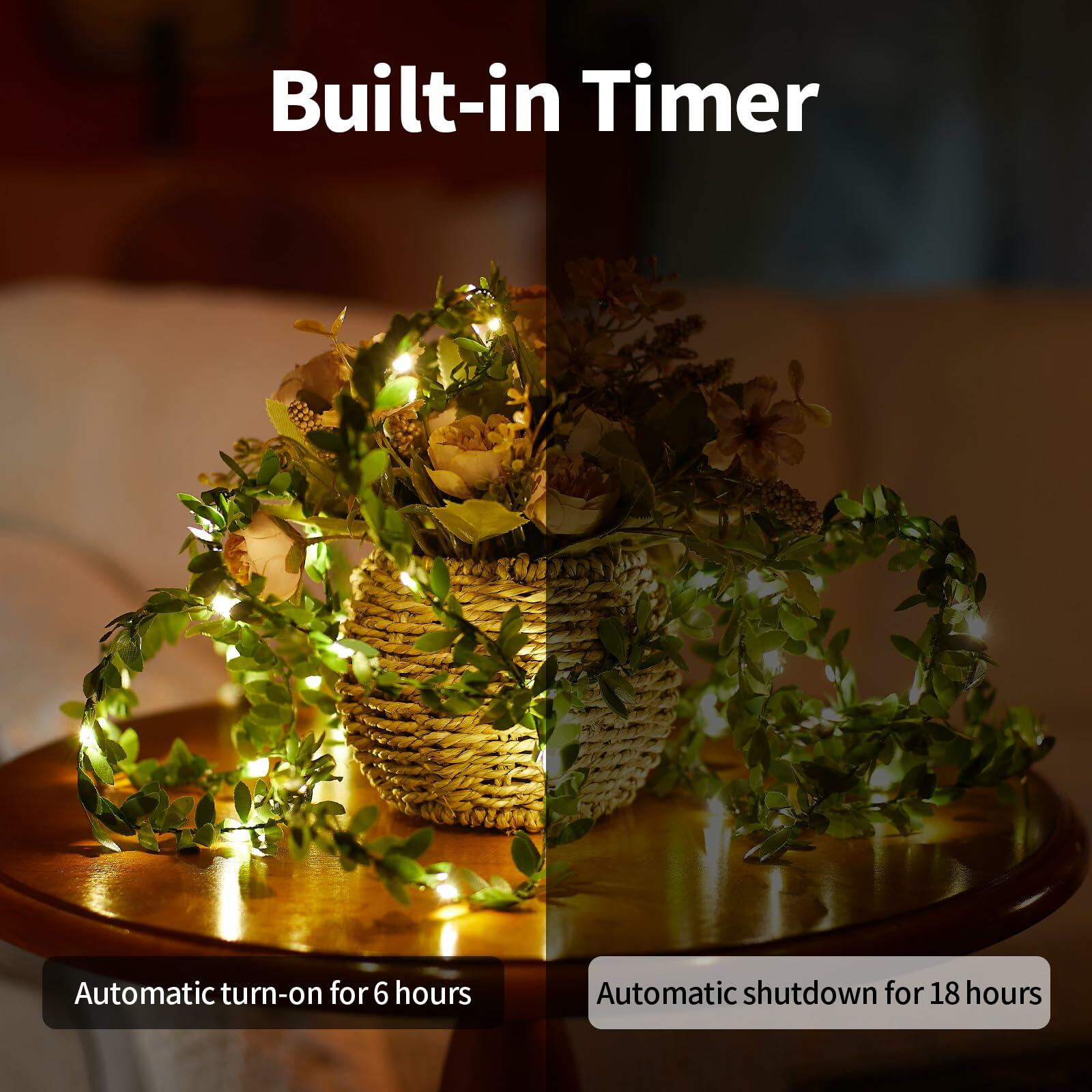 Ariceleo USB Fairy String Lights 50 LED 16.4ft 2 Pack Warm White Remote Timer