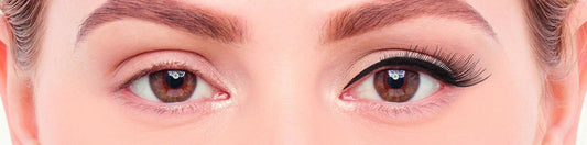 [Like New] Eylure Liquid Promagnetic Eyeliner & Accent Lash System Black 1 Count