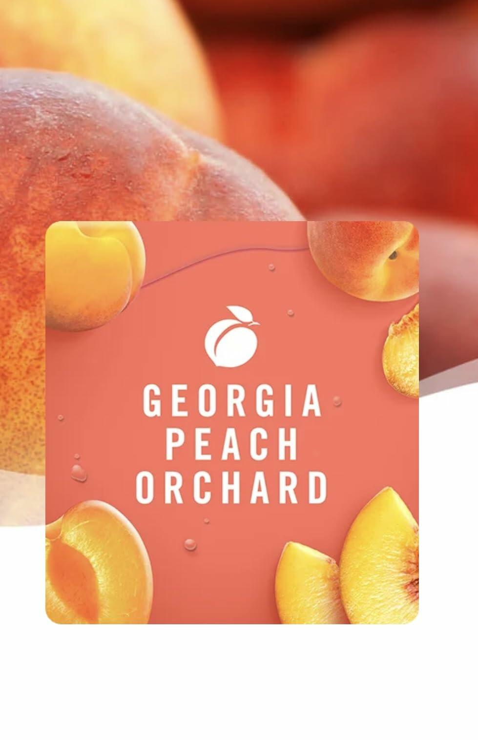 Febreze Air Effects Odor-Fighting Air Freshener Georgia Peach Orchard 8.8 OZ