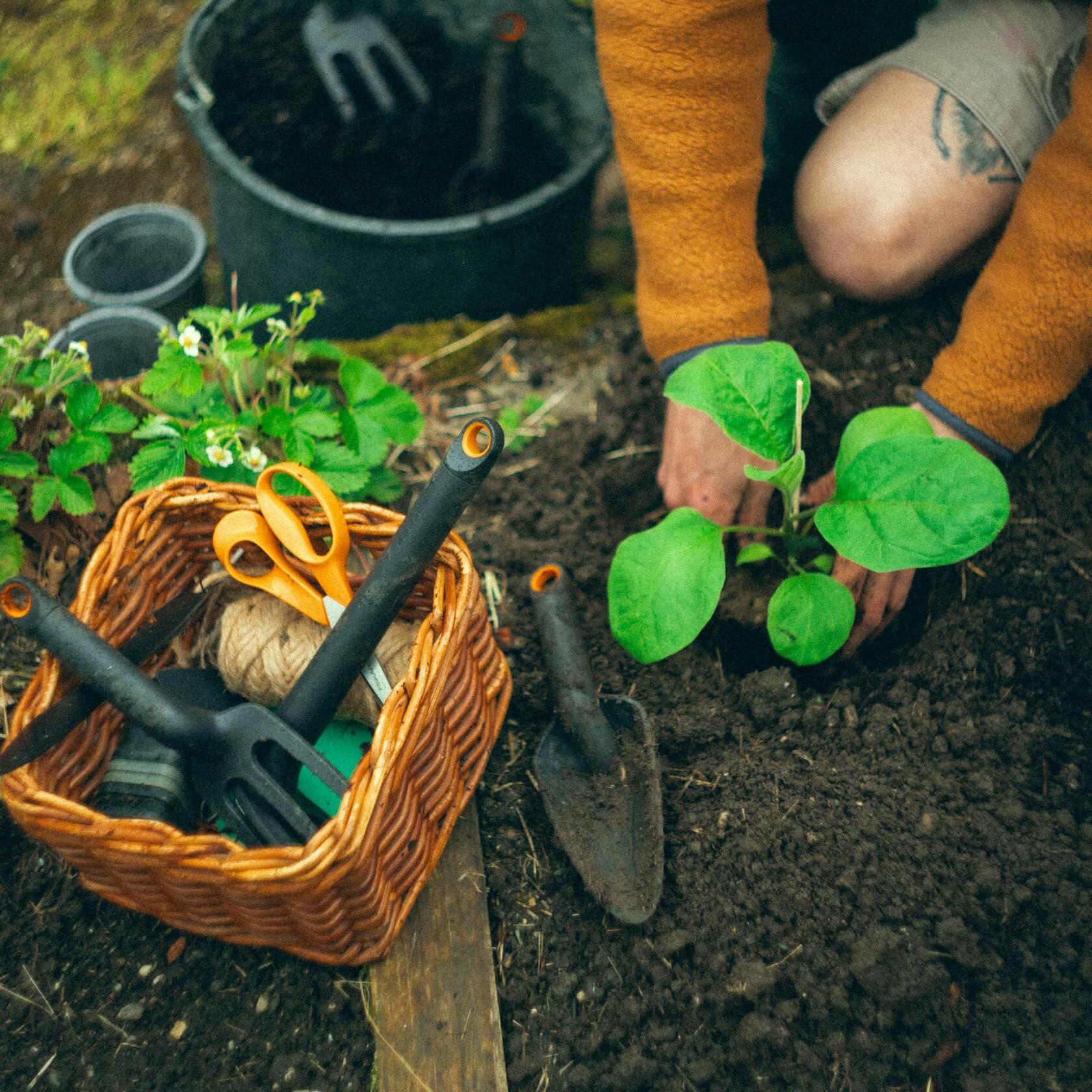 Fiskars Eco Transplanter Narrow Curved Spade Ergonomic Handle UV Resistant