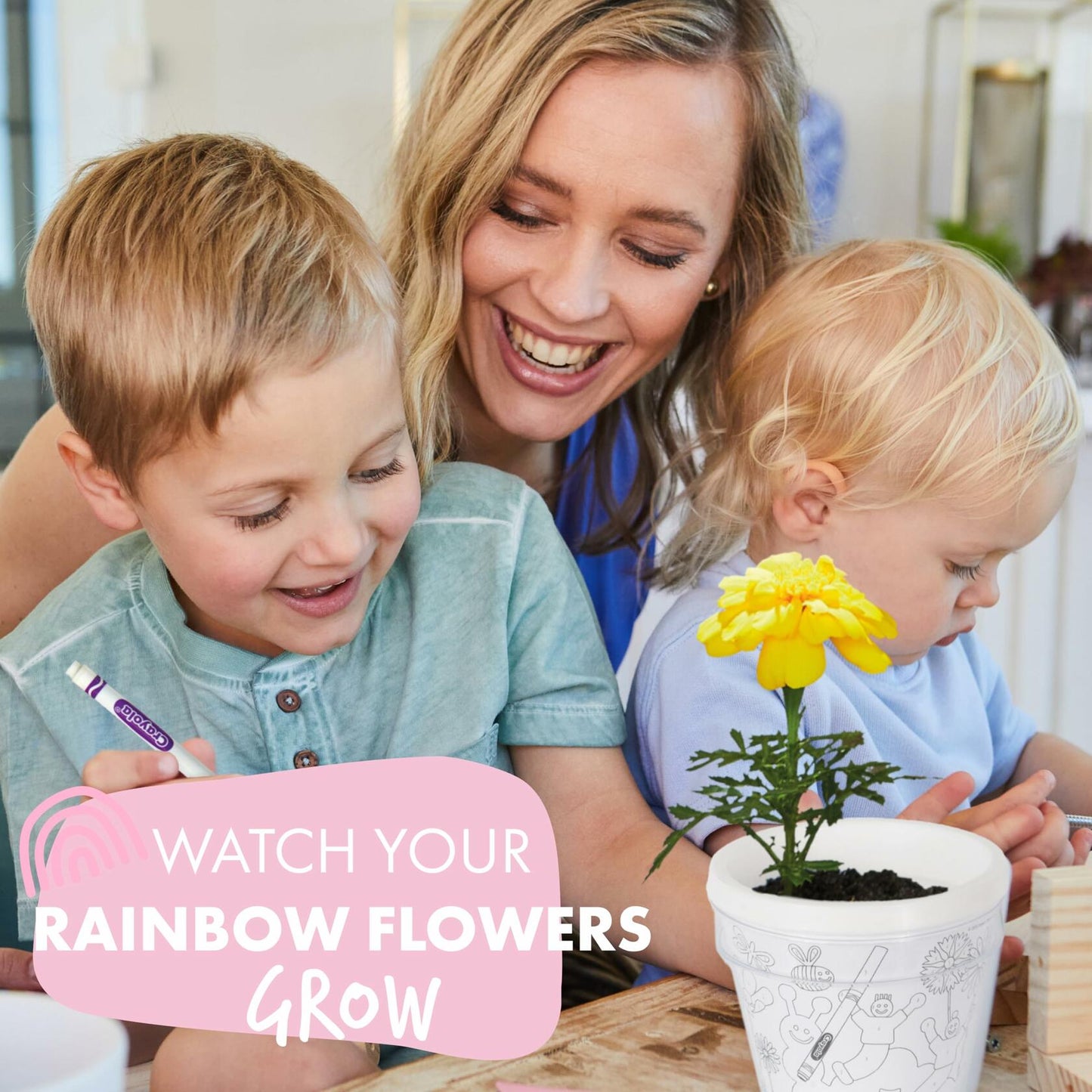 Garden Republic Jr Color and Plant Starter Grow Kit for Kids