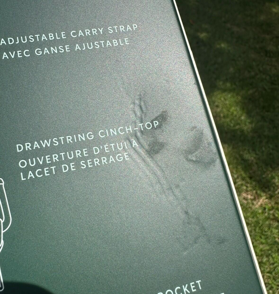 Starbucks Spring 2025 Tumbler Tote Bag Adjustable Strap Powder Blue