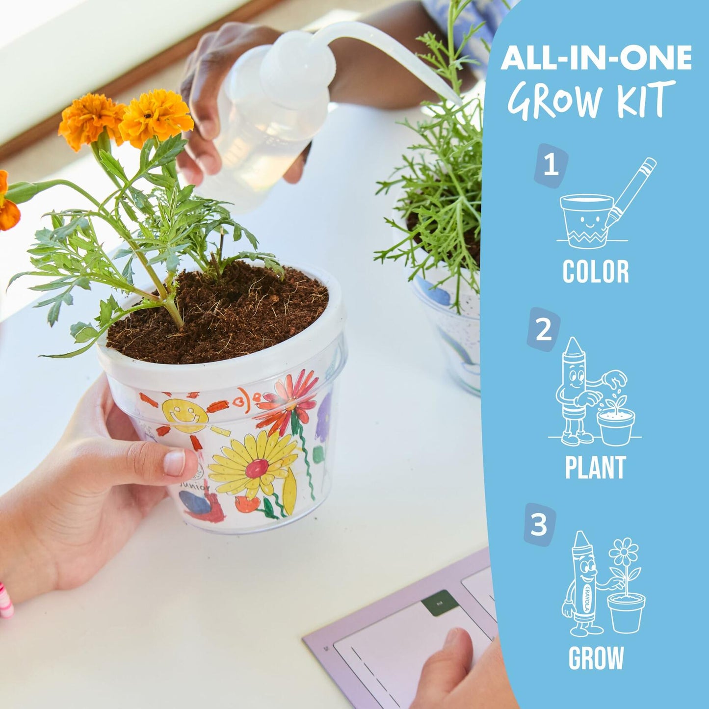 Garden Republic Jr Color and Plant Starter Grow Kit for Kids