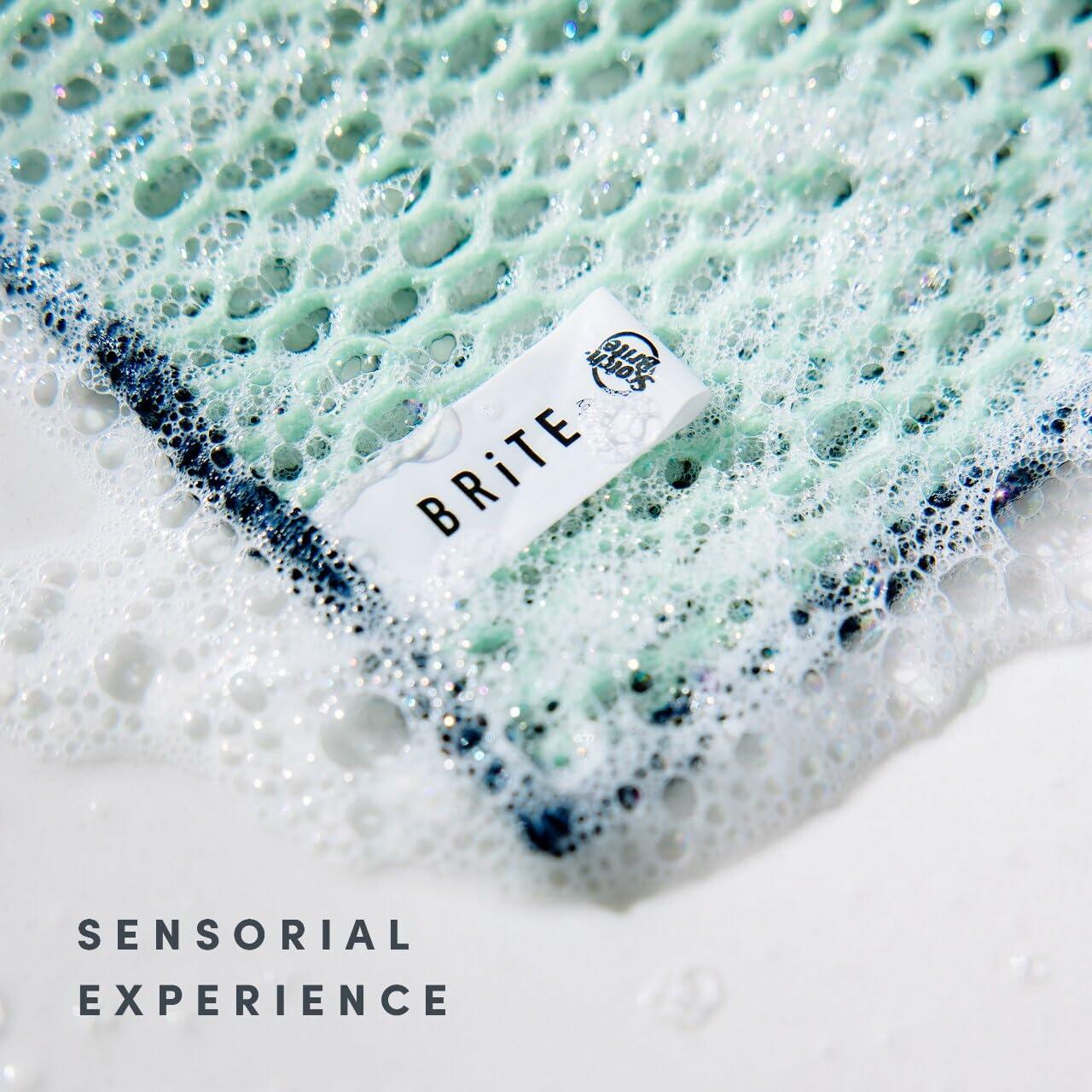 [Like New] Brite by Scotch-Brite 4-Piece Scrub & Wipe Set Multicolor Sponge Scourer