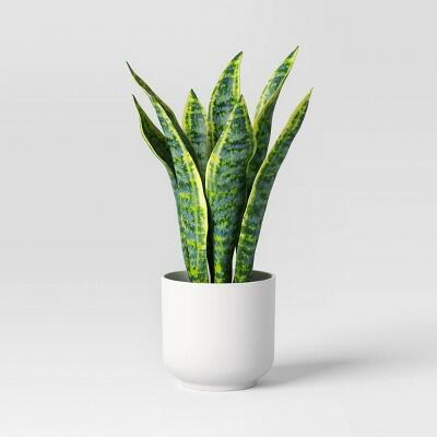 Room Essentials Snake Artificial Potted Plant Faux Plastic Melamine Pot