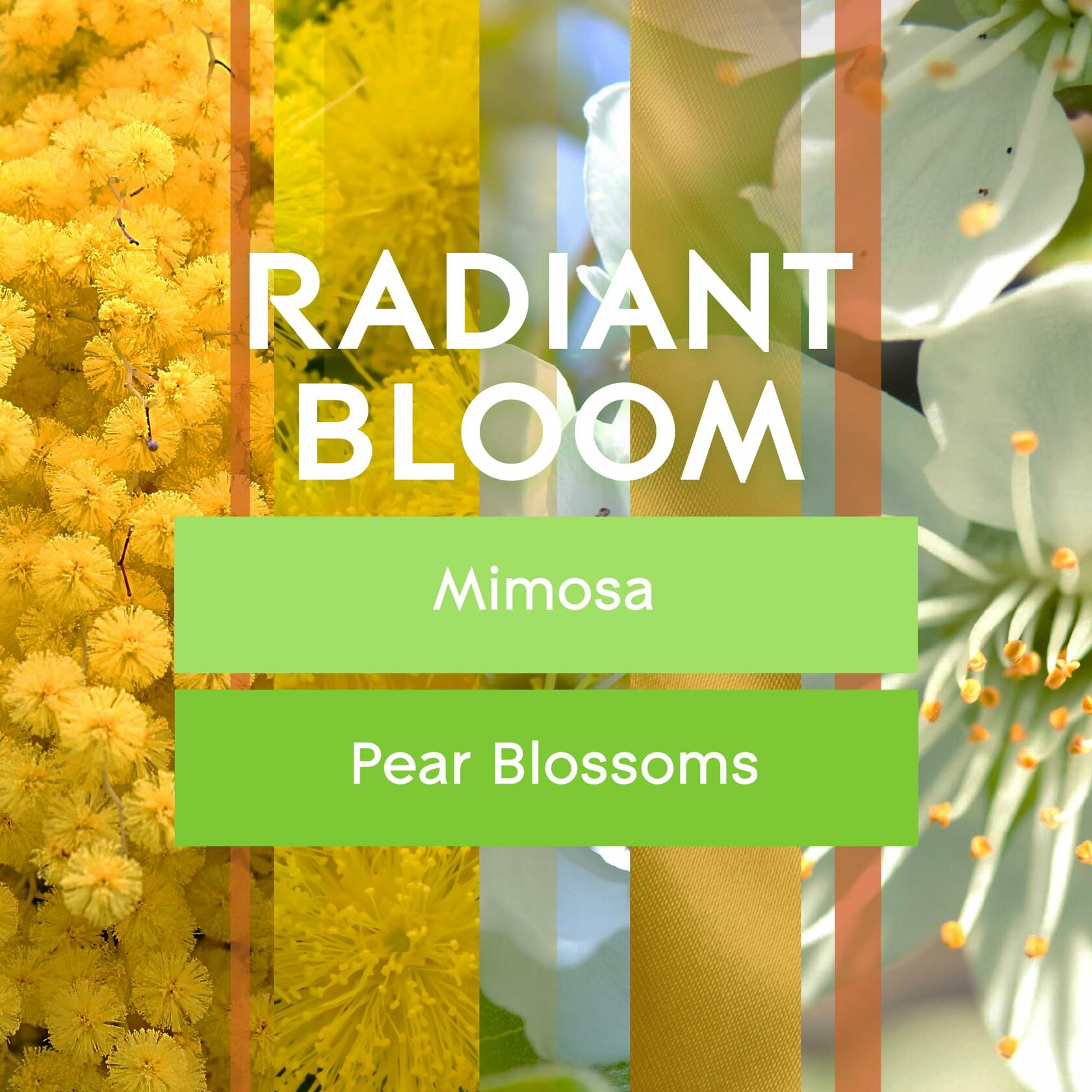 Glade PlugIns Refills Radiant Bloom Air Freshener 0.67oz 2 Count