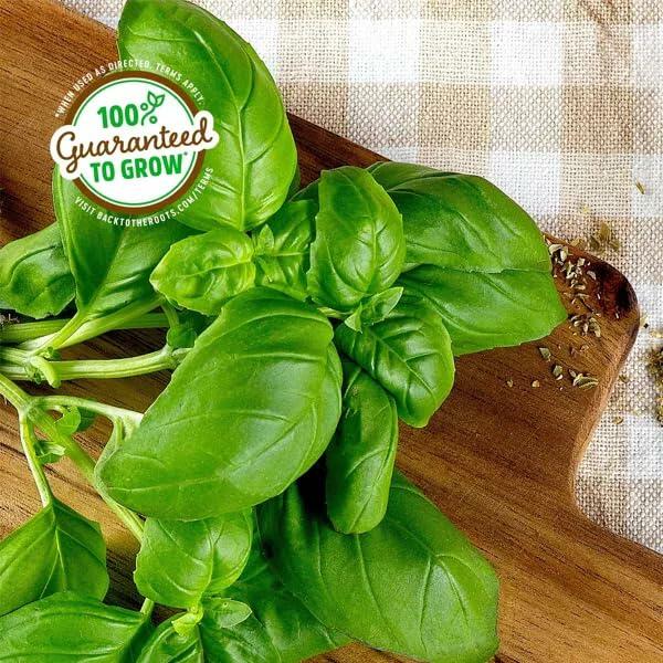 Wellness Grow Kit Basil Indoor Herb Garden Hydroponic System 0.76lb