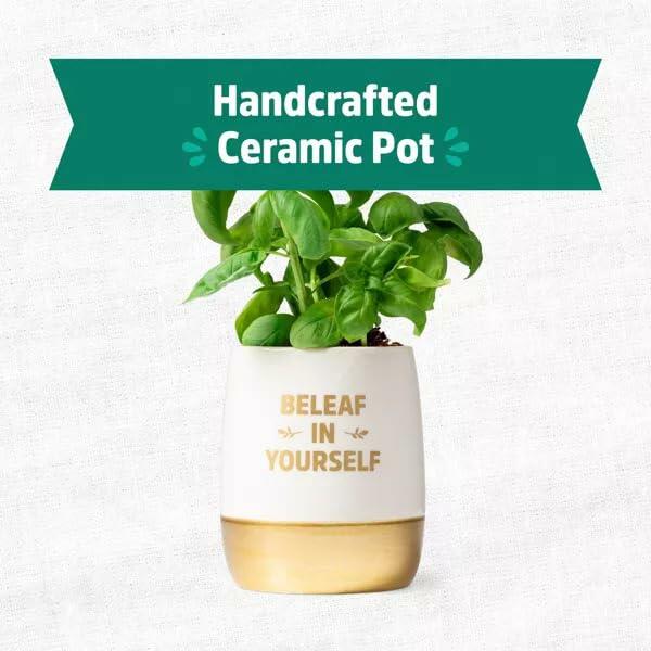 Wellness Grow Kit Basil Indoor Herb Garden Hydroponic System 0.76lb