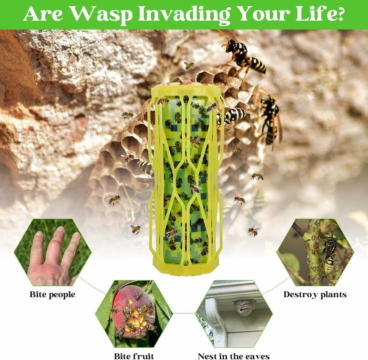 Dwcom Trap Wasp Traps Outdoor Hanging Fluorescent Green 2 Pack