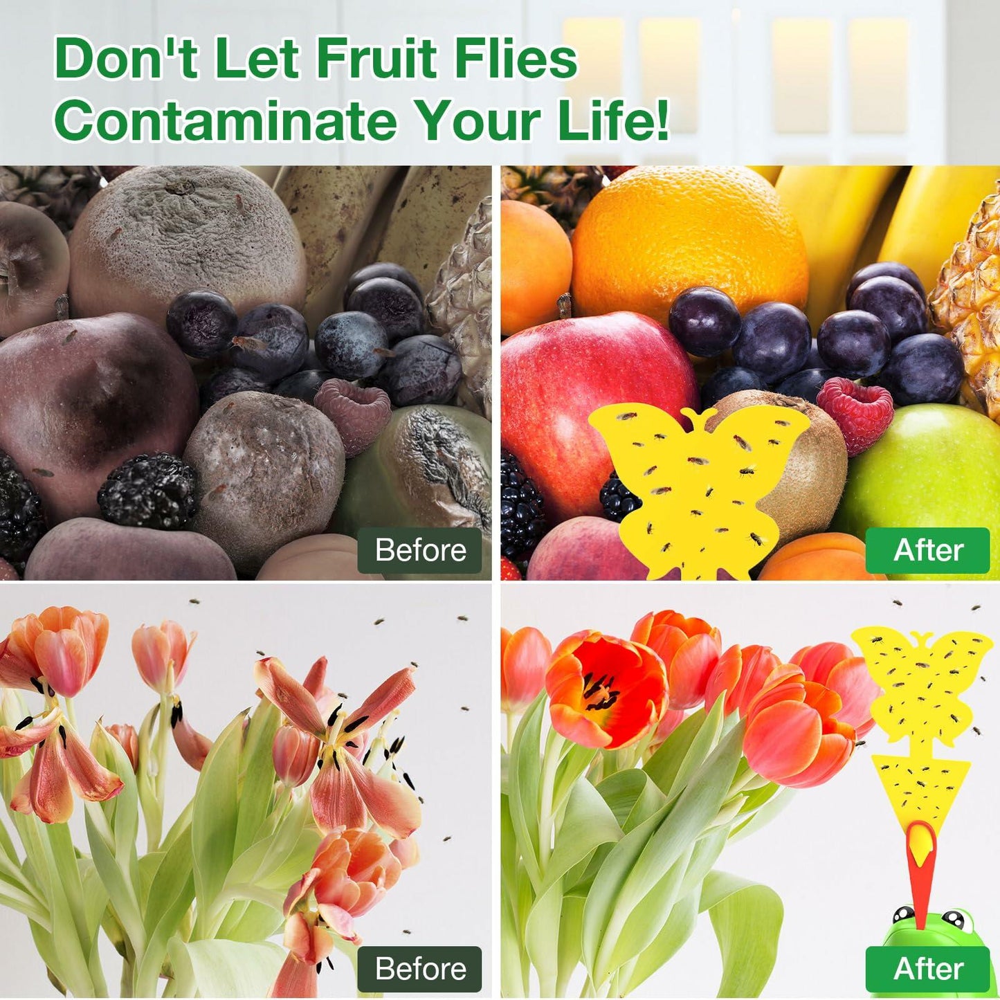 UWANTME Fruit Fly Trap Refill Liquid 6 Pack Indoor Outdoor Bait