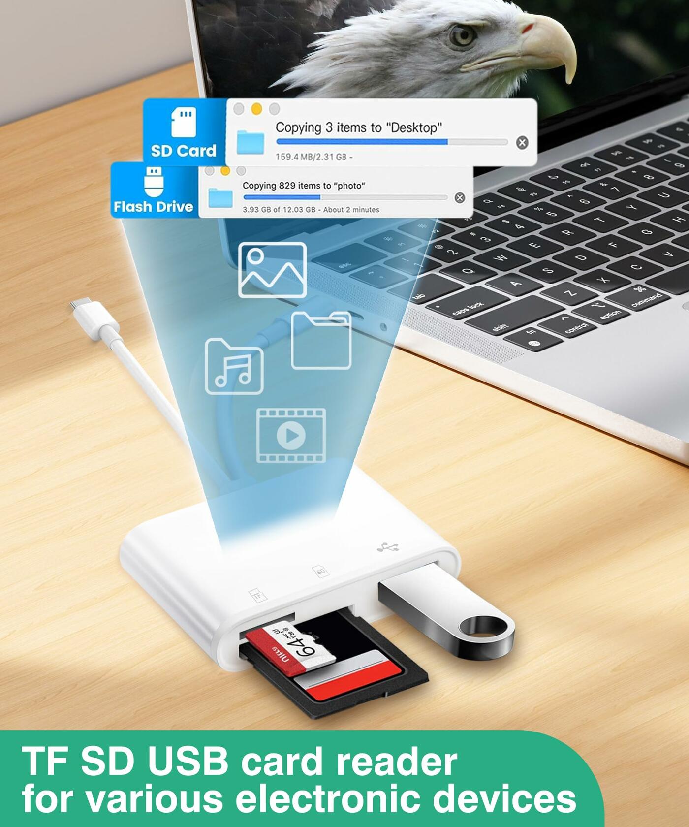 Dargahou Trail Camera Viewer SD Card Reader Photo Video No App Blue