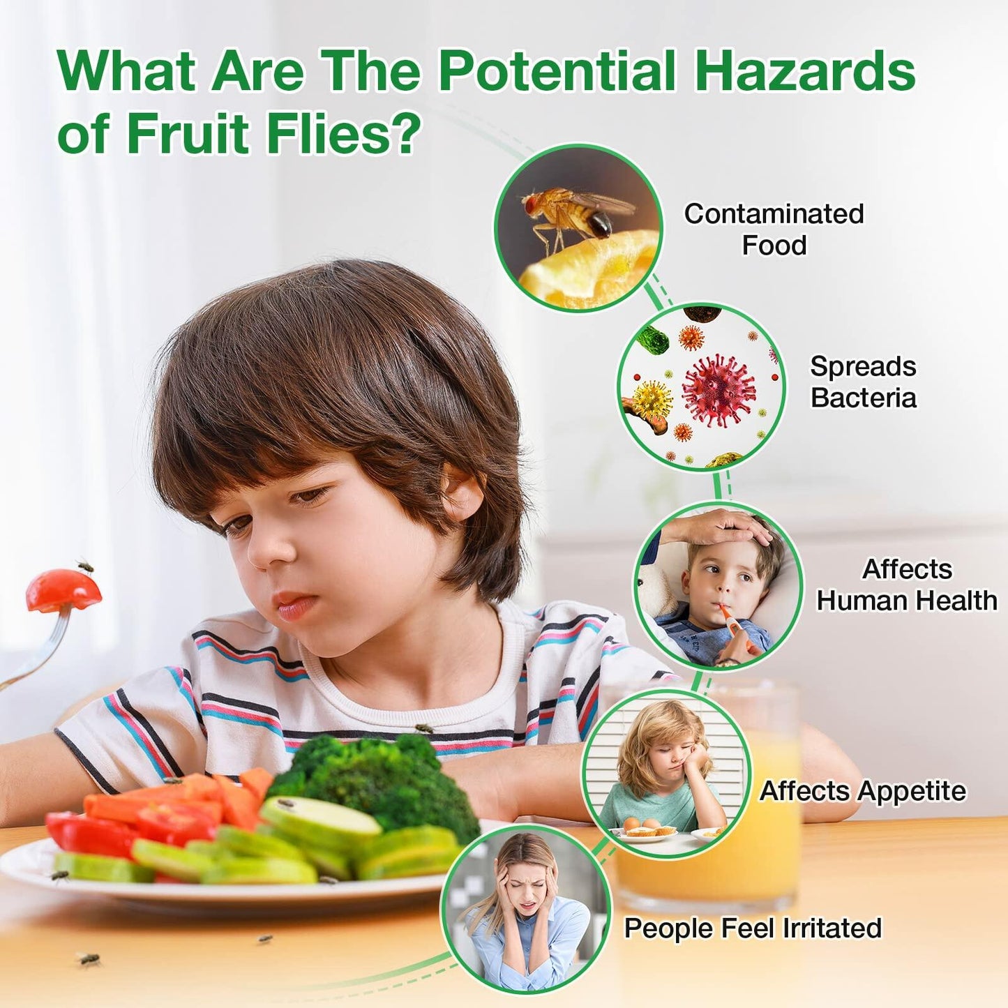 UWANTME Fruit Fly Trap Refill Liquid 6 Pack Indoor Outdoor Bait