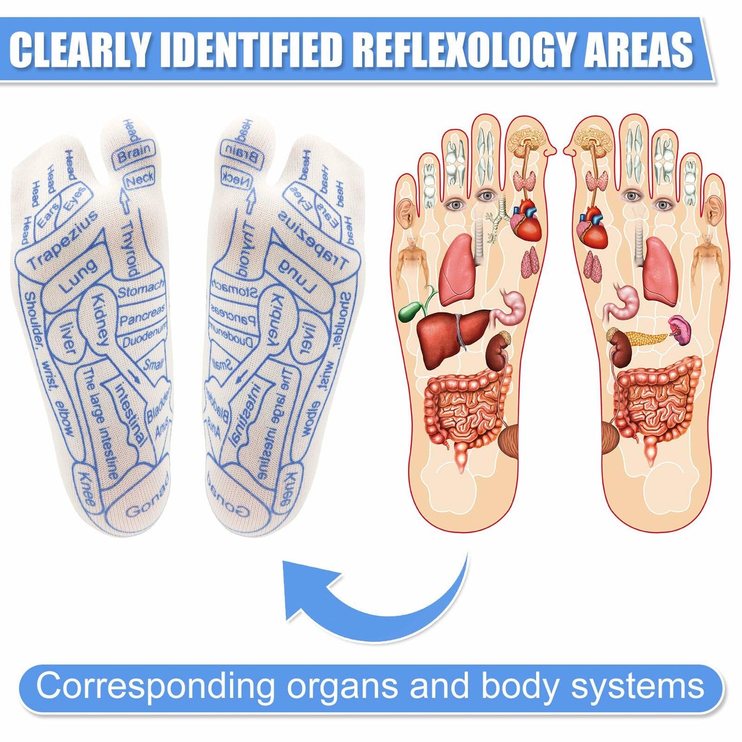 PEUTIER 2 Pairs Reflexology Socks Set White Amber with Tool Acupuncture Charts