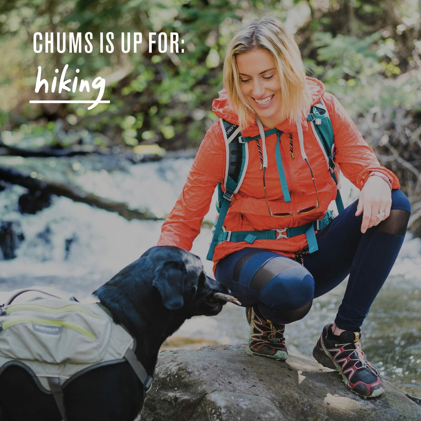 Chums Original Cotton Eyewear Retainer Adjustable Strap Dark Forest USA