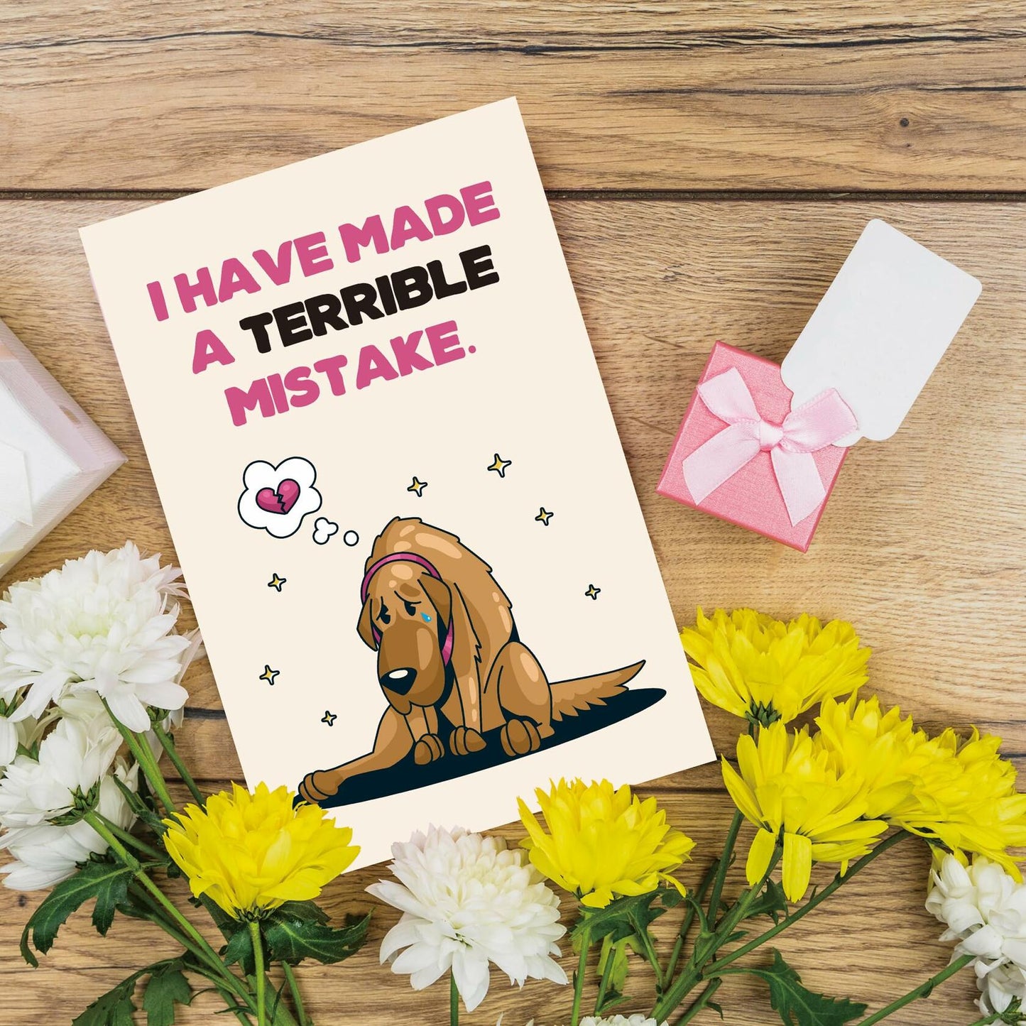 Detuca I'm Sorry Greeting Card Funny Apology Card for Her Him