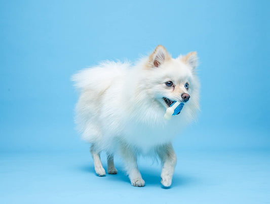 Hartz Chew 'n Clean Tuff Bone Bacon Scented Dental Dog Chew Toy Extra Small