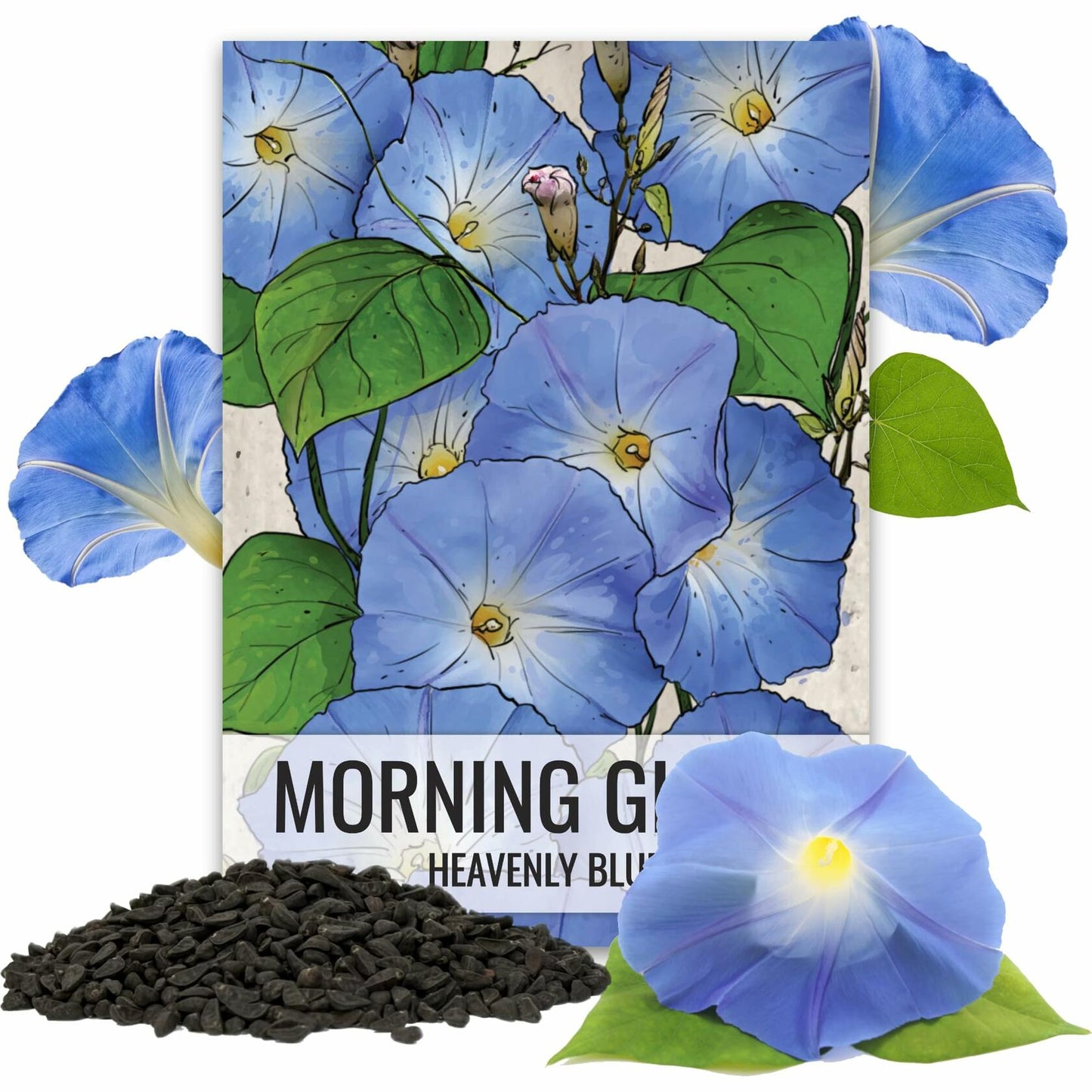 Seed Needs Heavenly Blue Morning Glory Seeds Ipomoea Tricolor 1000+ Count