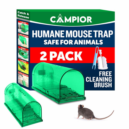 Campior Humane Mouse Trap Large No-Kill Indoor Catch-Release Green 2 Pack