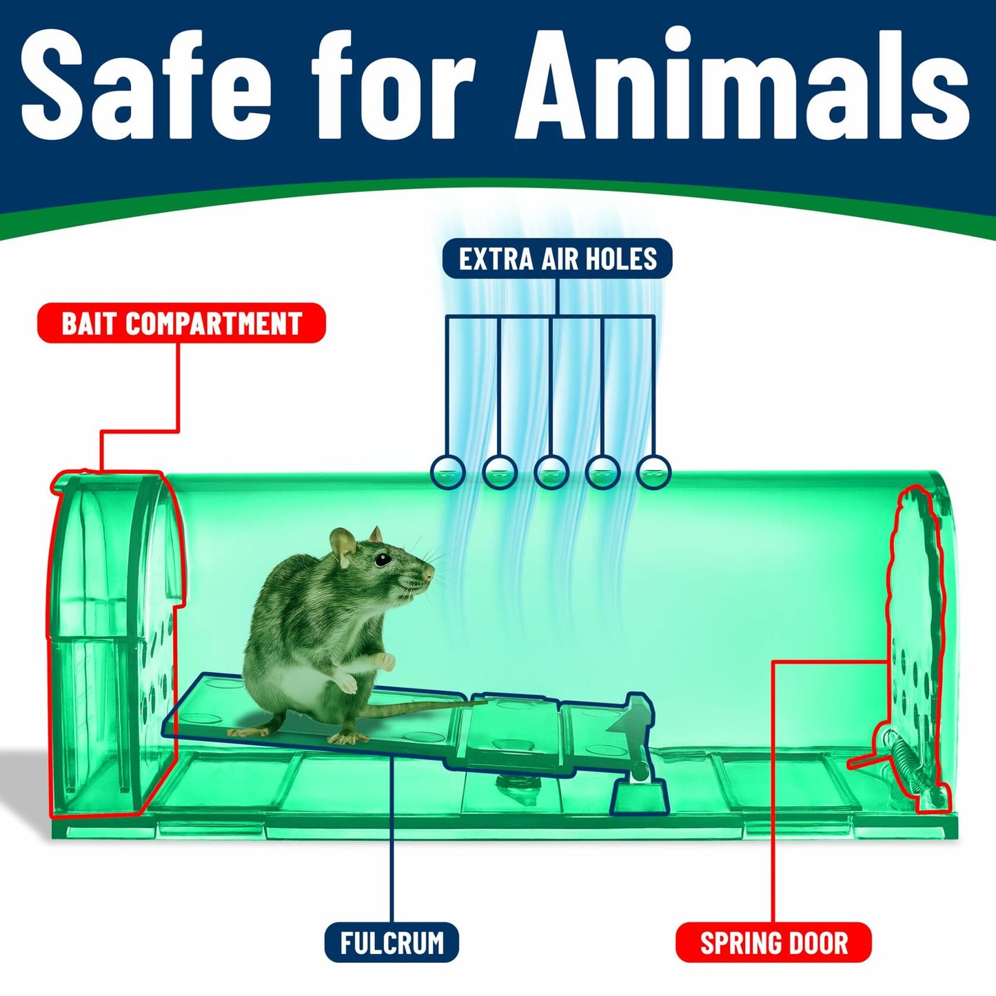 Campior Humane Mouse Trap Large No-Kill Indoor Catch-Release Green 2 Pack
