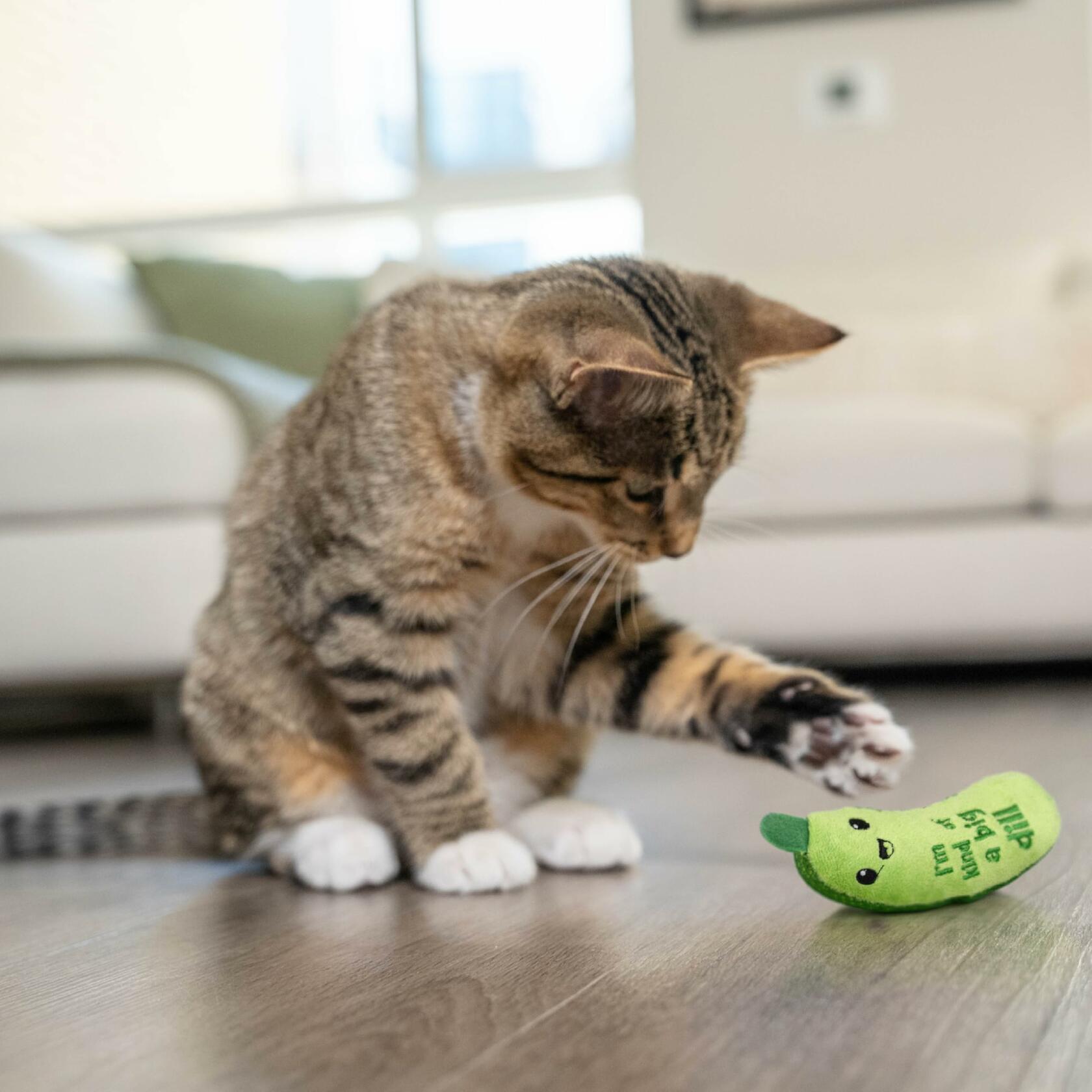 Catstages Crunchy Pickle Kicker Cat Toy with Catnip Dental Mesh Green