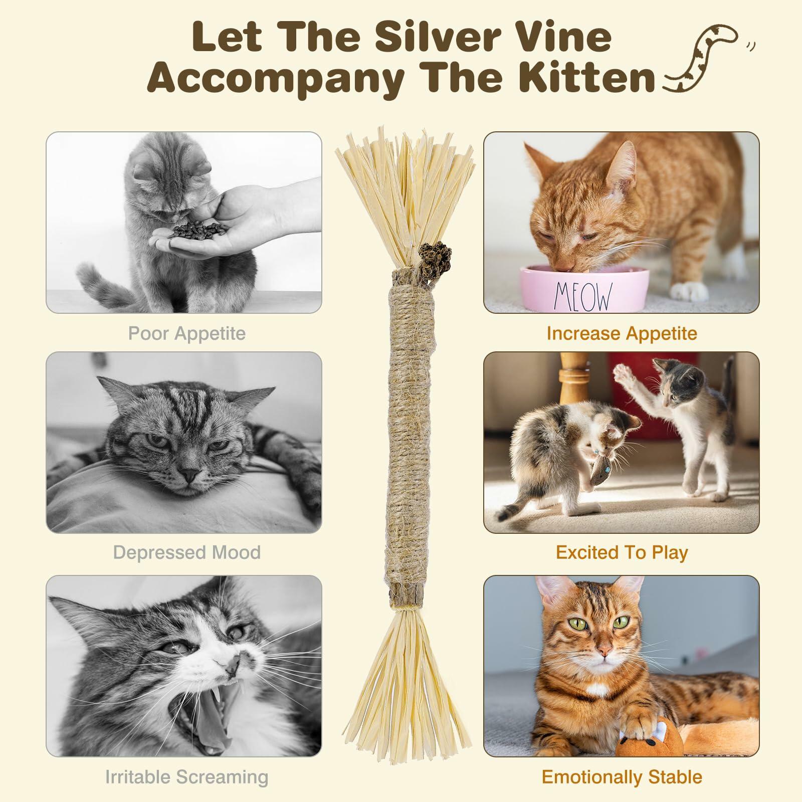 SINROBO 4 Pack Silvervine Cat Chew Sticks Teeth Cleaning Edible Toy