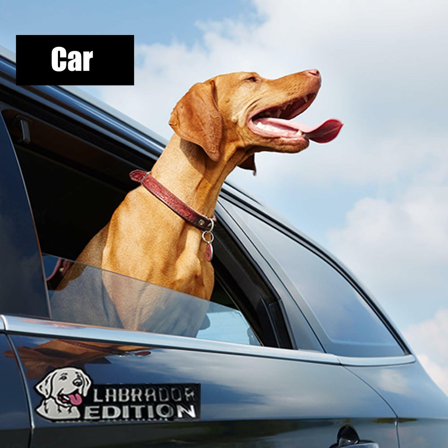 Mandydy 3D Dog Badge Decal Emblem Sticker Labrador Car Truck RV