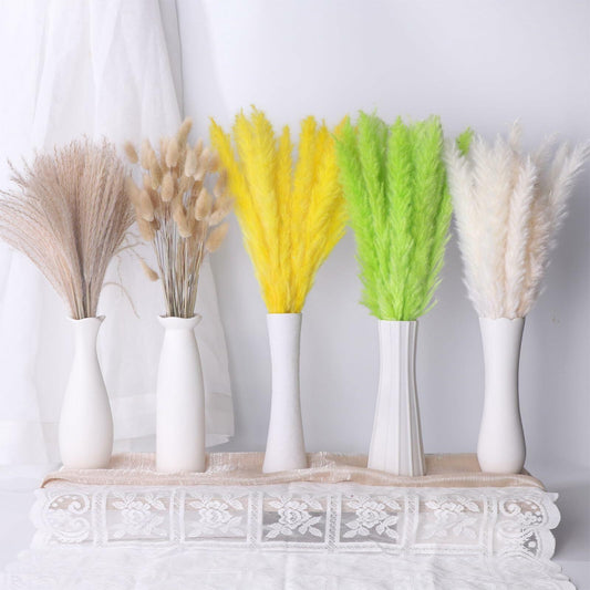 CeiooCei Colorful Pampas Grass Decor 17" White Yellow Light Green Dried