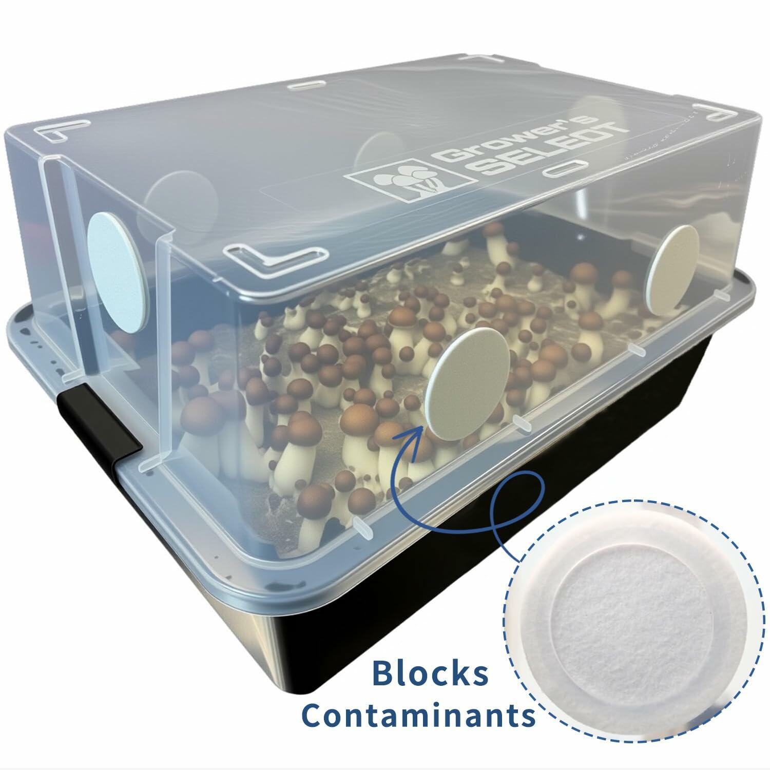 geonfi 12 Pcs Monotub Adhesive Filter Disks 2.5" 2MM Thick Synthetic