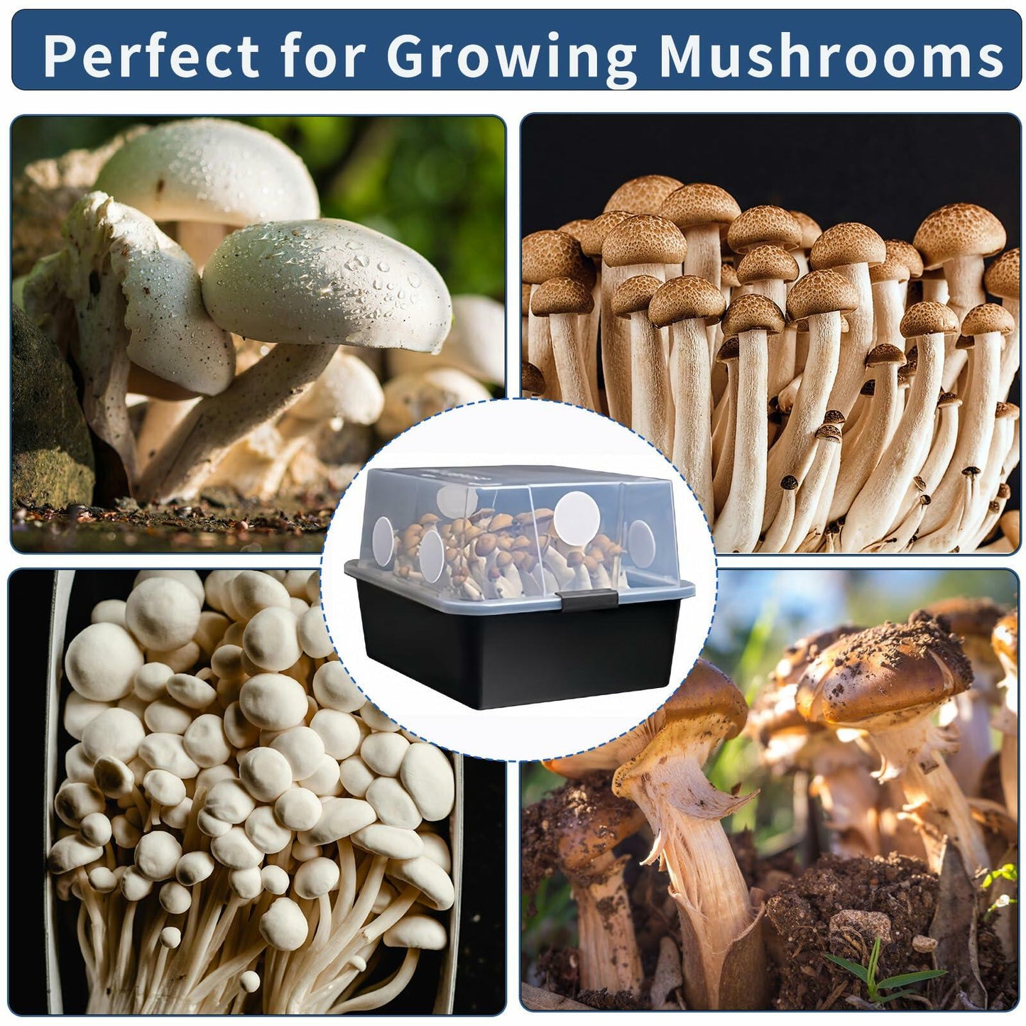 geonfi 12 Pcs Monotub Adhesive Filter Disks 2.5" 2MM Thick Synthetic